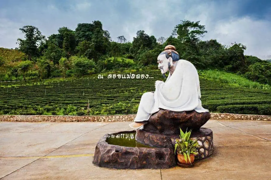 statue of a thoughtful figure at the 101 tea plantation in doi mae salong, chiang rai, thailand, with lush green tea fields and forested hills in the background