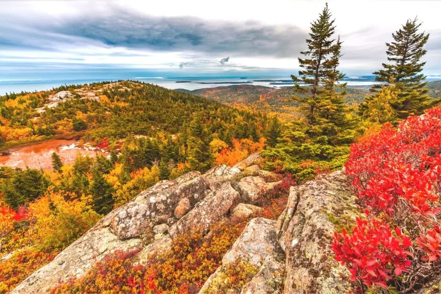 Fall colors at acadia national park  maine cadillac mountain