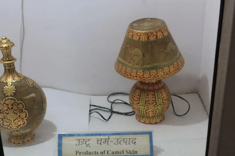 Camel farm bikaner camel products India Faraway Notes