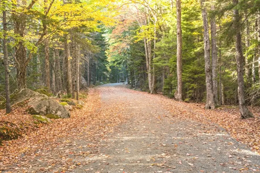 Carriage roads Acadia National Park
