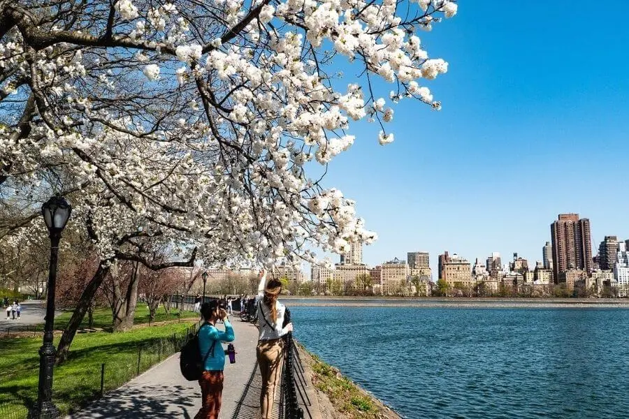 Central Park New York City USA Spring break destination Faraway Notes