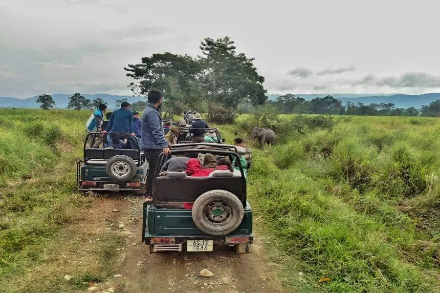 Kaziranga National Park Assam India -Best national parks Faraway Notes