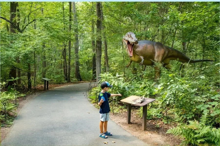 Museum of Life and science North Carolina USA Faraway Notes