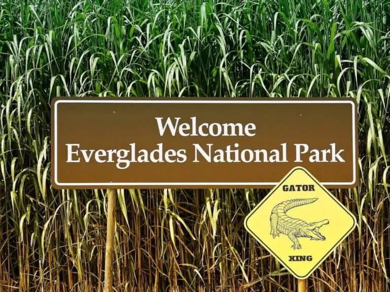 One day in Everglades National Park Florida