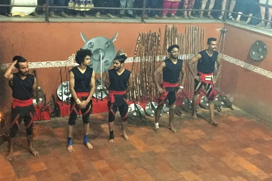 thekkady kalaripayattu