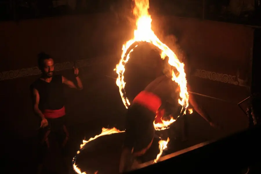 kerala kalaripayattu martial art