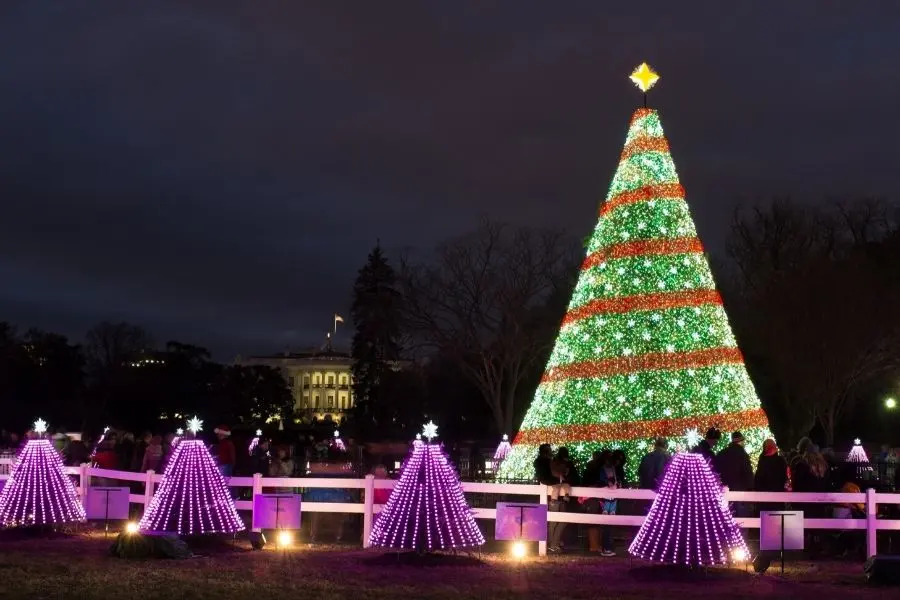Washington DC National Christmas tree