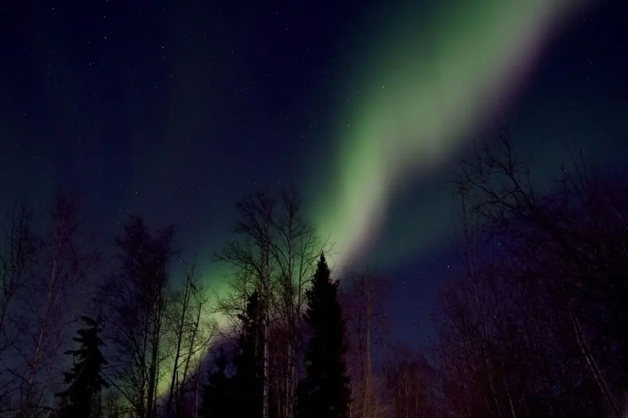 winter in faibanks alaska