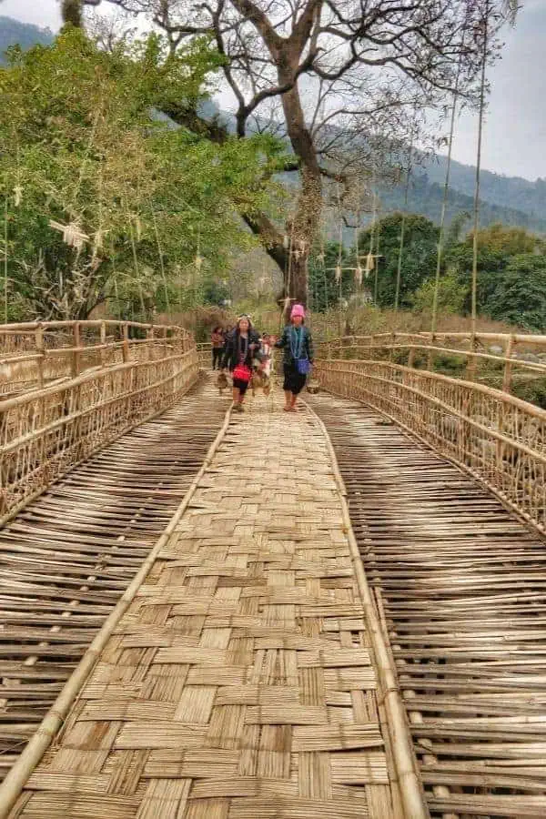 yazali nyokum yullo festival nyishi tribe bamboo bridge