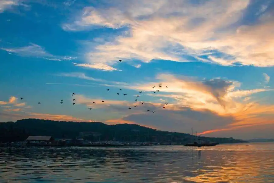 aegean coast ayvalik harbor sunset