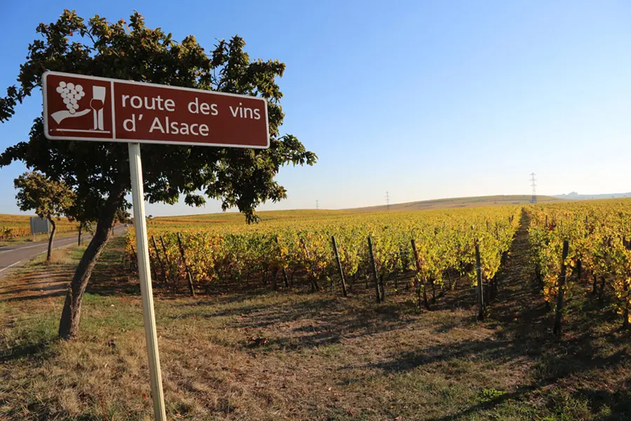 Alsace wine route best road trips in the world
