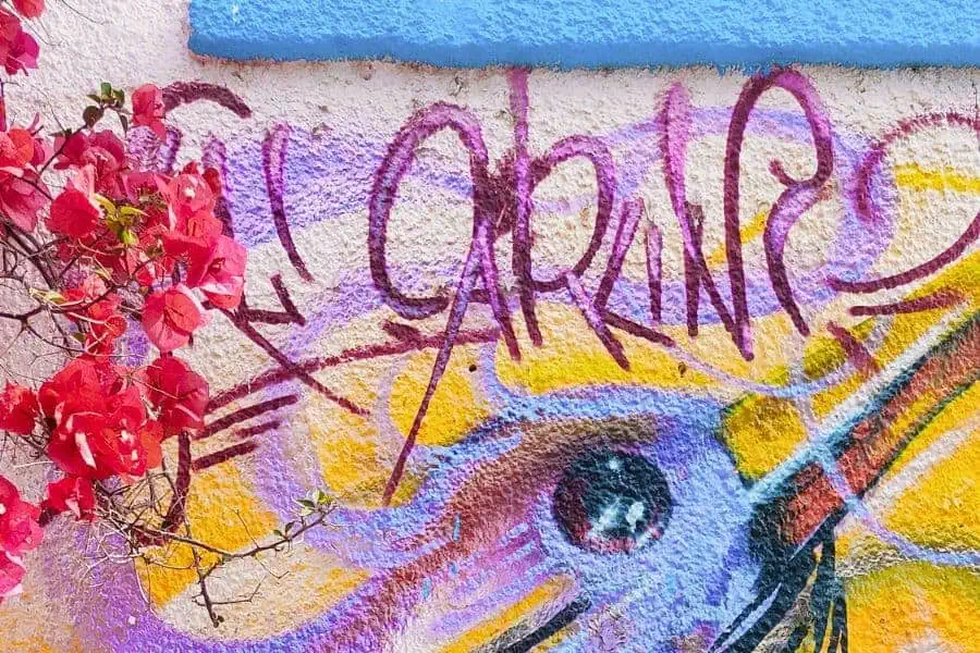 artsy vibrant street art in alacati turkey