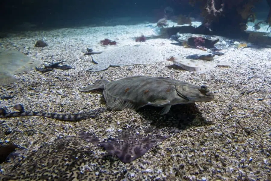 bergen aquarium