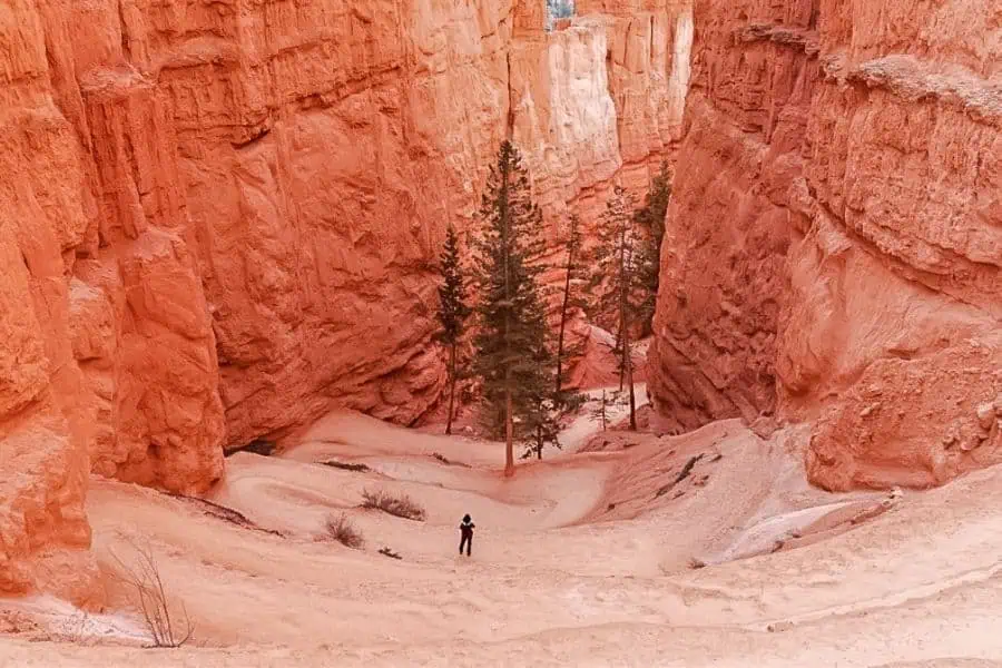 bryce canyon navajo trail