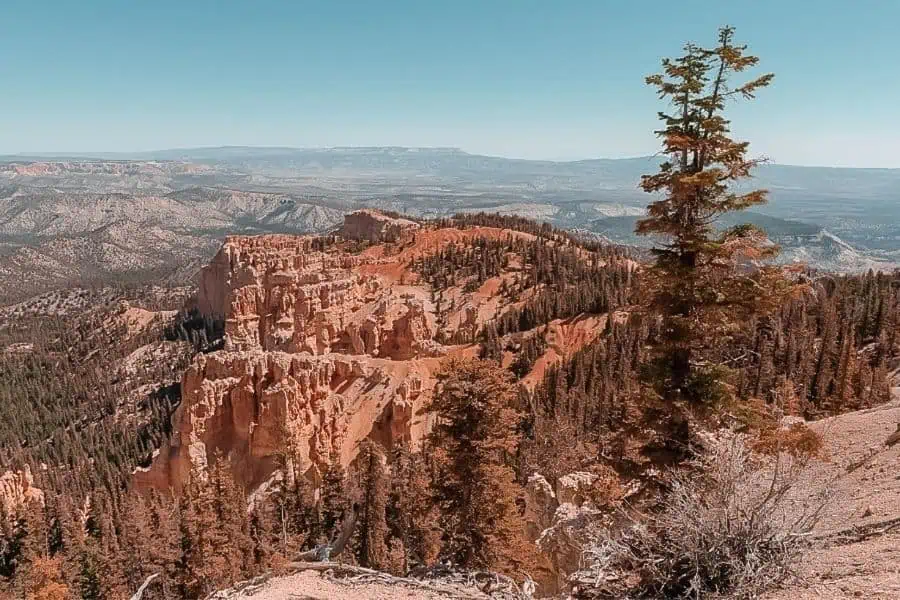 bryce canyon rainbow point