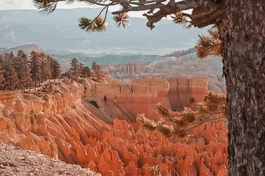 bryce canyon rim trail