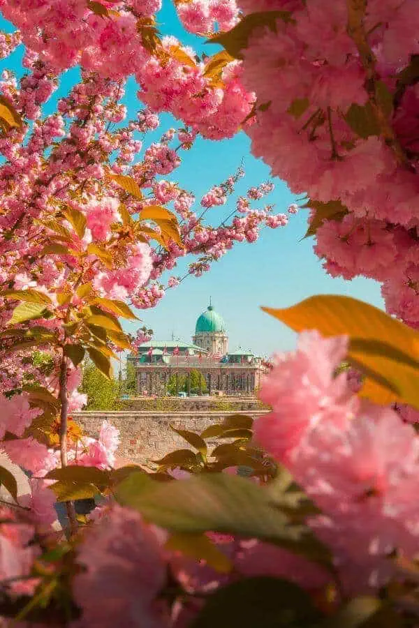 budapest spring europe