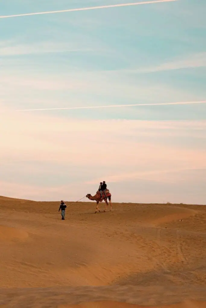 camel ride at sunset over the golden sand dunes of the thar desert in jaisalmer, rajasthan, india