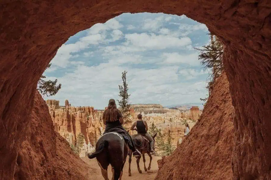 canyon trail rides horse trail