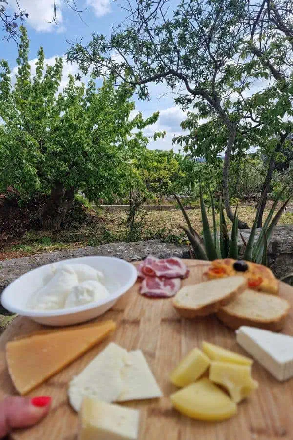 traditional cheese tasting masseria fragnite ceglie messapica ostuni puglia italy