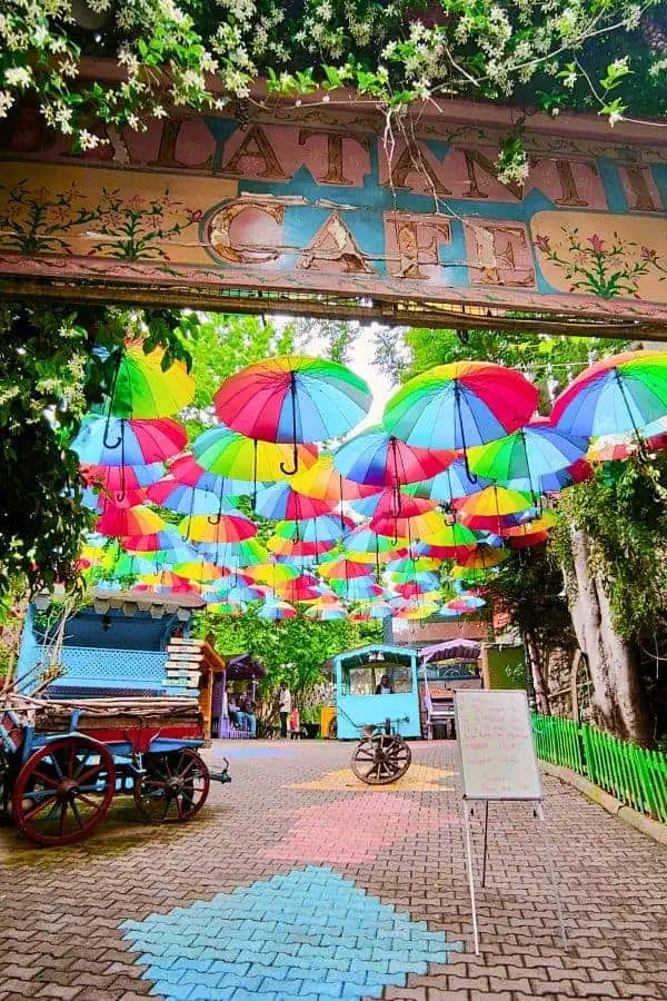 colorful umbrellas incir agaci kahvesi-balat