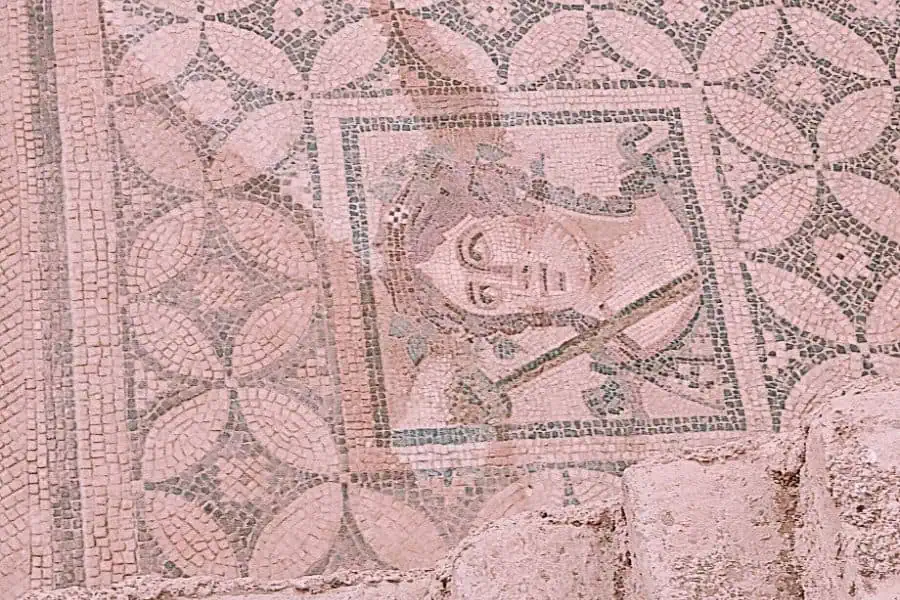 dionysos mosaic terrace houses ephasus selcuk turkey