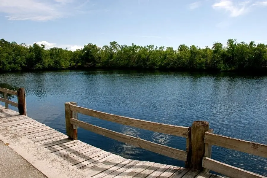 everglades national park florida west lake