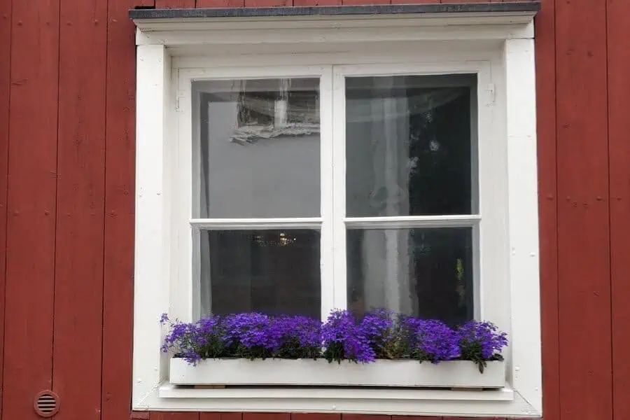 flower window box porvoo finland