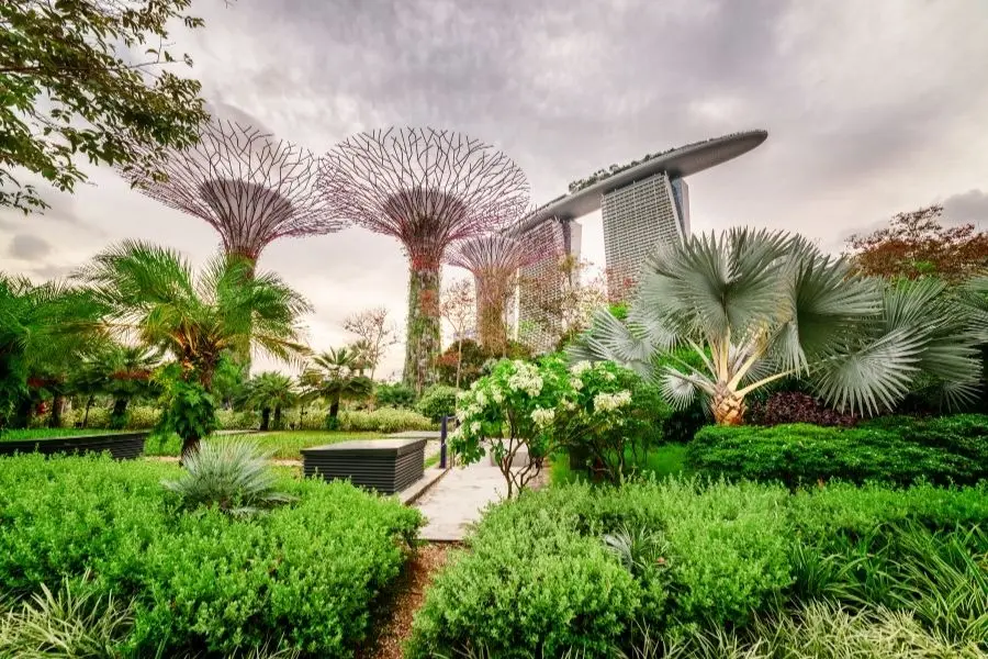 gardens by the bay singapore