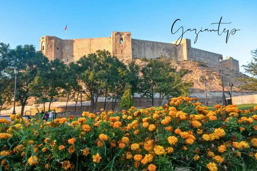 gaziantep castle standing atop a hill, framed by vibrant yellow flowers in the foreground, under the golden evening light