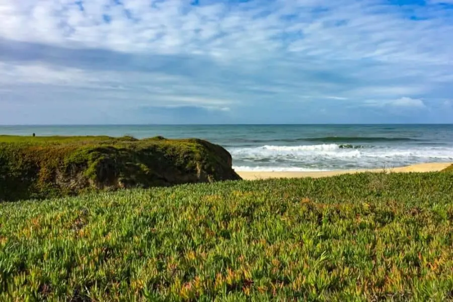 Half Moon Bay State Beach California