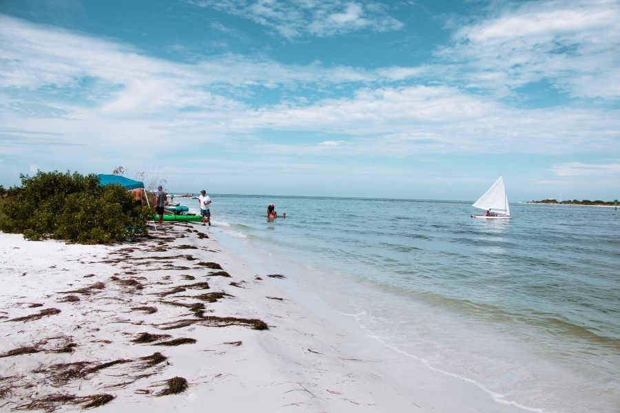 honeymoon island state park florida
