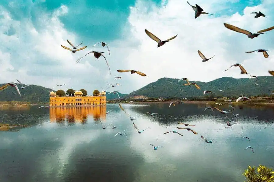jal mahal jaipur lake palace