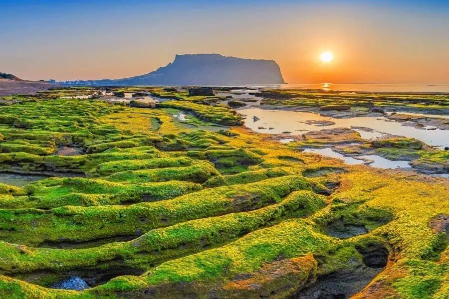 jeju island south korea best islands in asia
