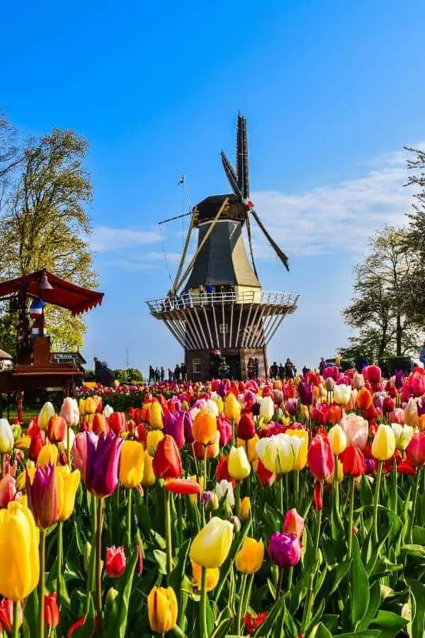 keukenhof lisse netherlands spring europe
