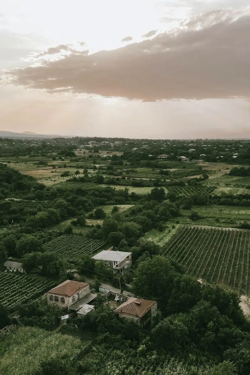 lush vineyards and rustic houses under a dramatic cloudy sky in the kakheti wine region, georgia