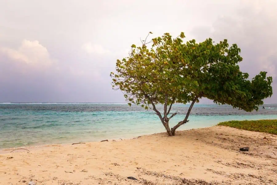 maafushi maldives islands of asia