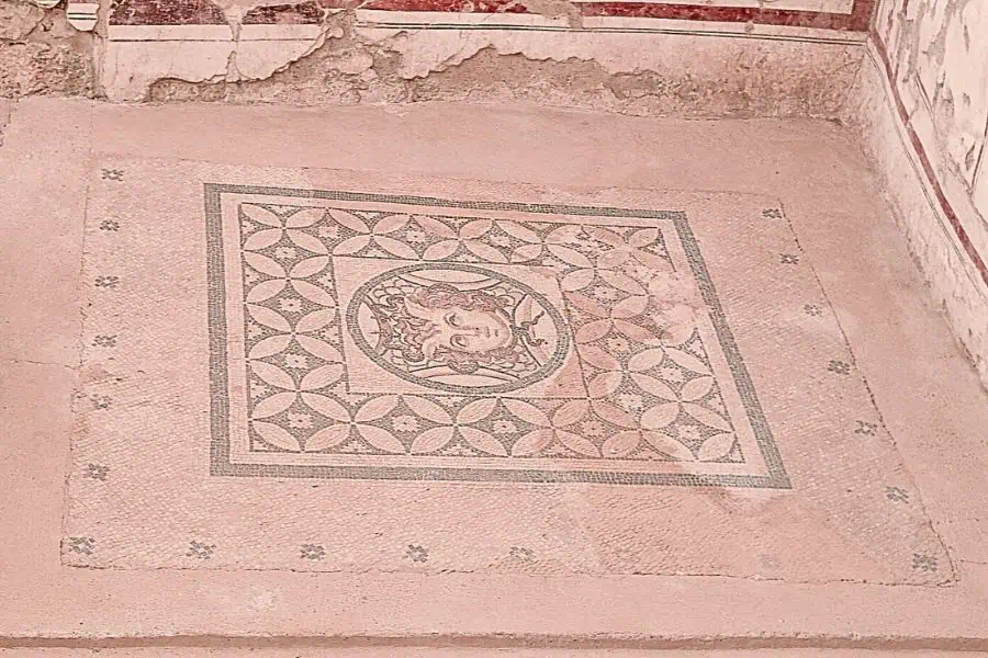 medusa mosaic terrace houses ephesus turkey