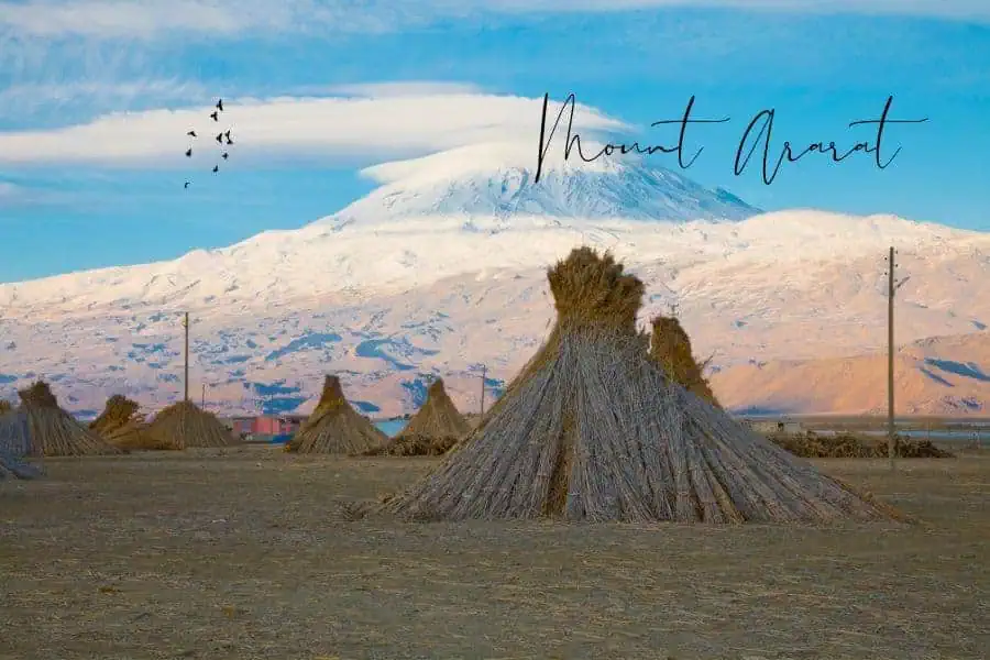 mount ararat towering over golden fields with neatly stacked hay piles in the foreground