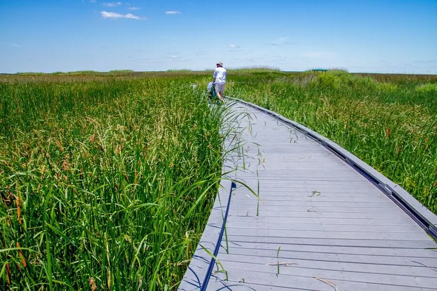 New Orleans to Louisiana Creole Nature Trail 