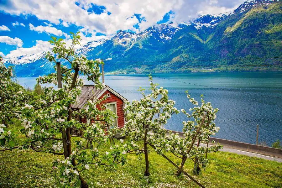 norway hardangerfjord spring europe