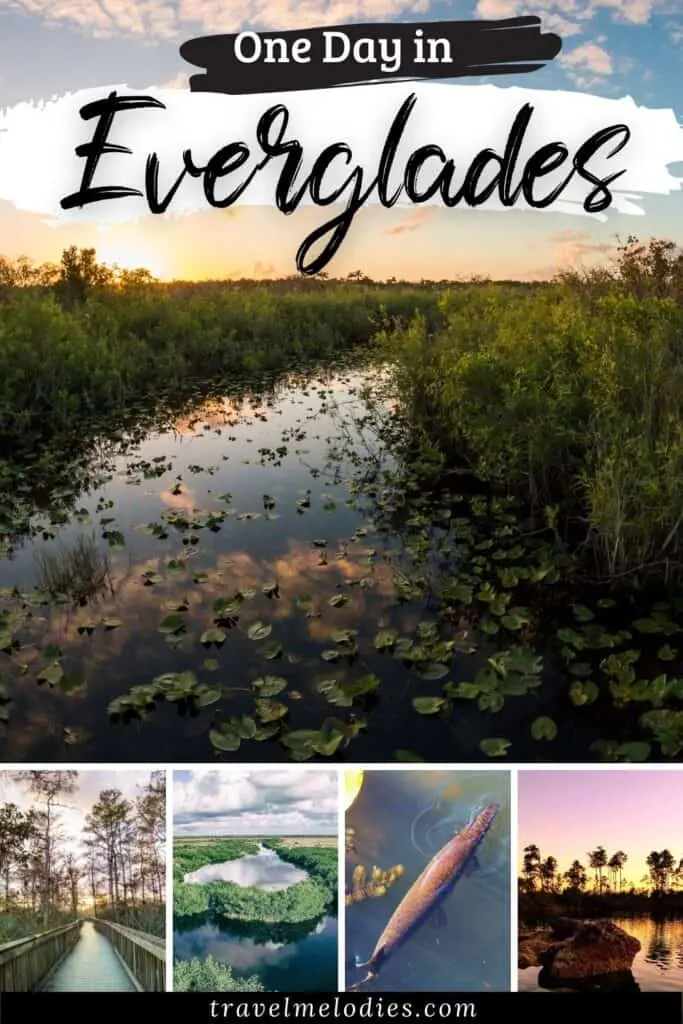 one day in everglades national park florida