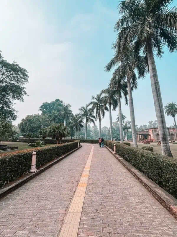 palm-lined walkway inside the british residency complex, lucknow