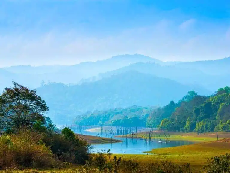 periyar national park safari kerala india