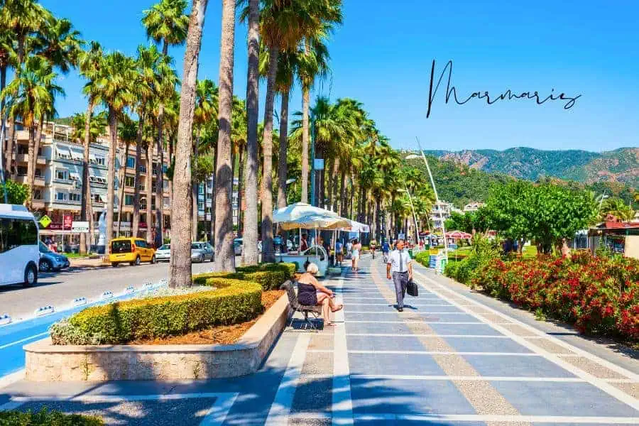 a vibrant seaside promenade lined with palm trees, colorful flowers, and lively cafes under a bright blue sky