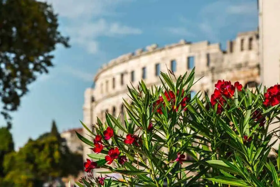 pula arena roman amphitheatre