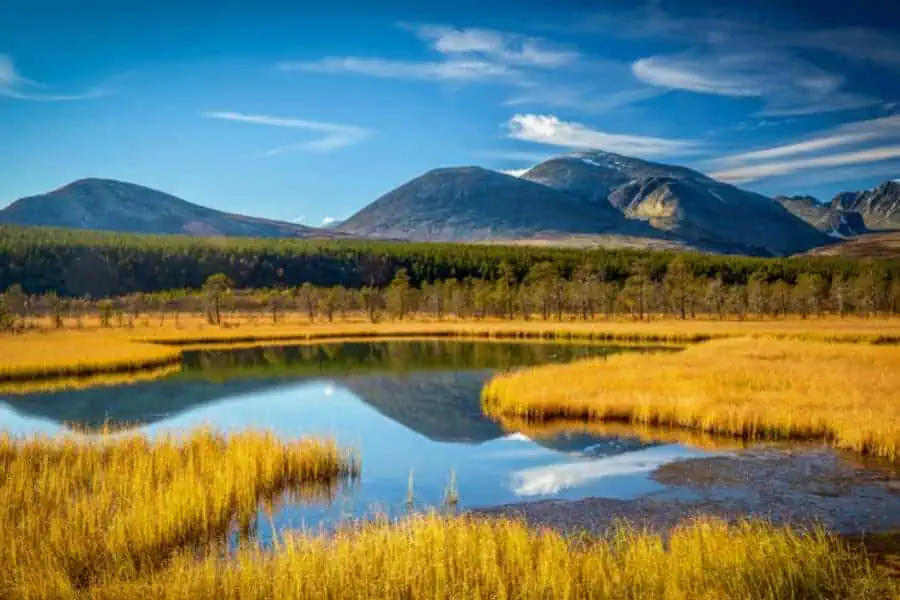 rondane