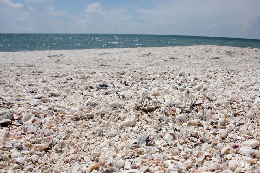 sanibel fort myers barefoot beach florida