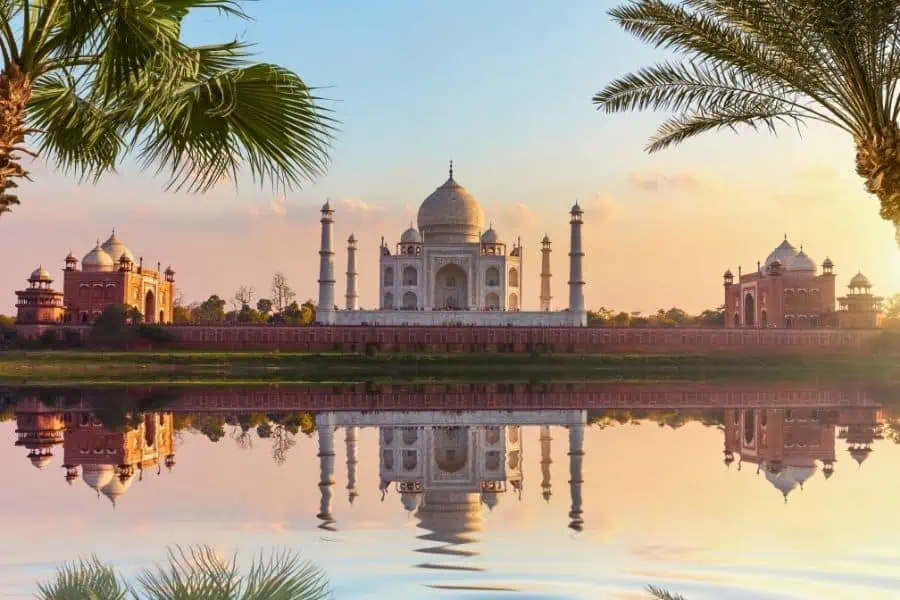 taj mahal reflected in the yamuna river with palm trees at sunset