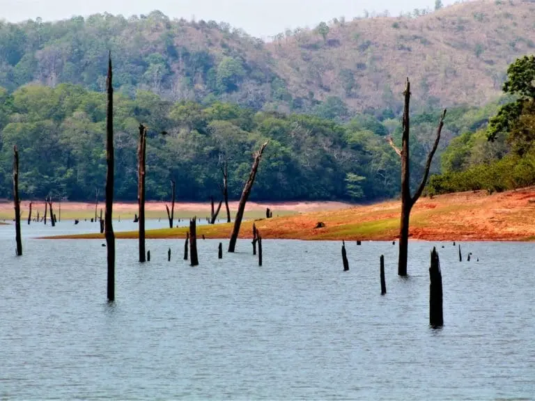 periyar lake thekkady